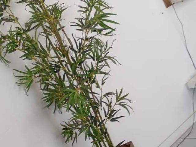 #78 - Apartamento para Venda em Balneário Camboriú - SC - 3